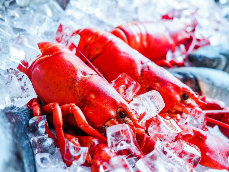 Spicy Lobster: A Fiery Feast for Seafood Lovers