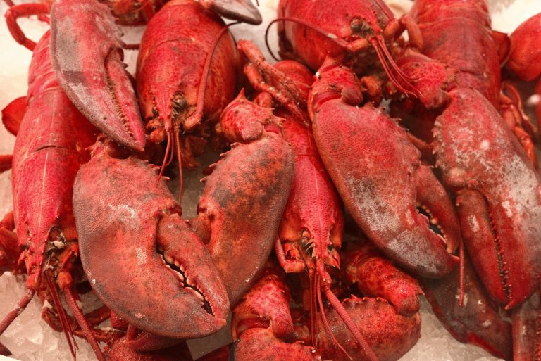 Lobster Tail: A Taste of Ocean Luxury 🦞✨